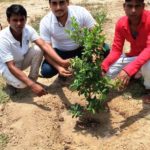 World Environment Day