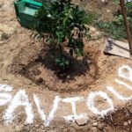 World Environment Day