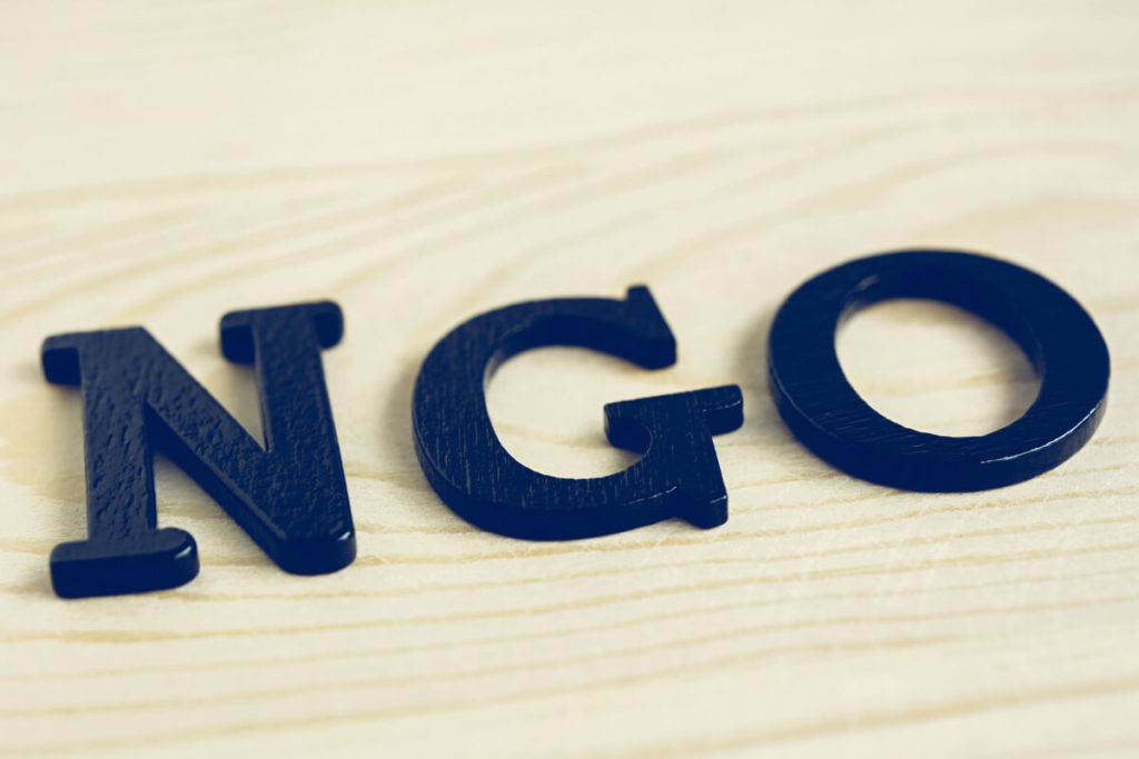 role of ngo